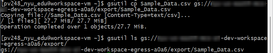 cp from export via gsutils