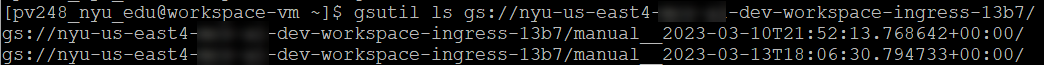 Running &quot;gsutils ls&quot; on your workspace path