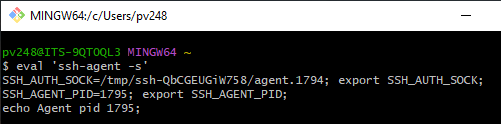 SSH Agent command