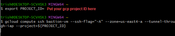 Export Project ID and login